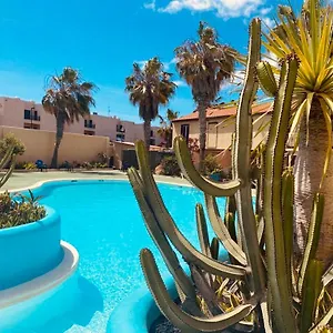 Apartamento Surf And Chill Bungalow 70, Parque Holandes